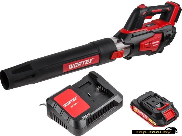 Ручная воздуходувка Wortex BB 2018 D ALL1 XLT Set 1333739 (с 1-им АКБ)