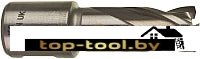 Фреза Milwaukee 4932343271