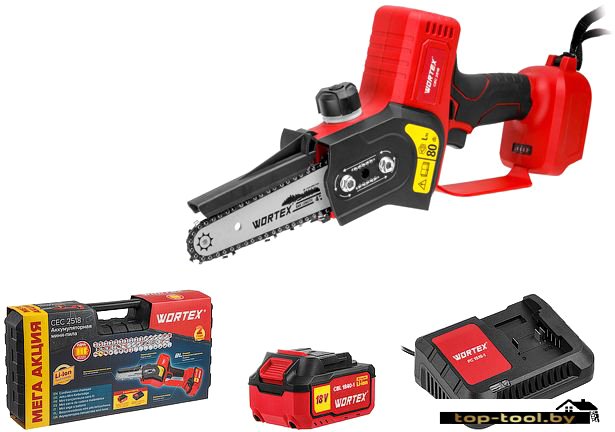 Аккумуляторная пила Wortex CEC 2518 ALL1 0323167 (с 1-м АКБ)
