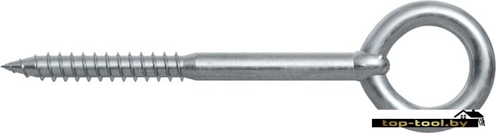 Шуруп Fischer GS 80919 (20 шт)