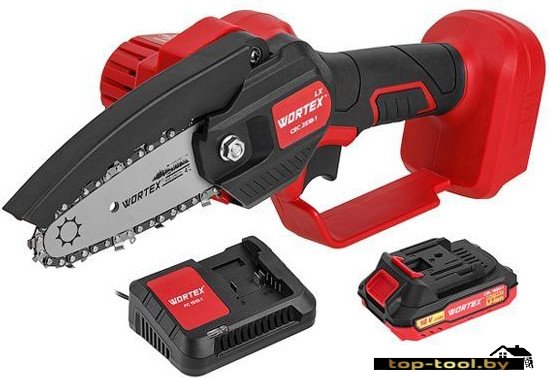 Аккумуляторная пила Wortex LX CEC 2518-1 1329493 (с 1-им АКБ)