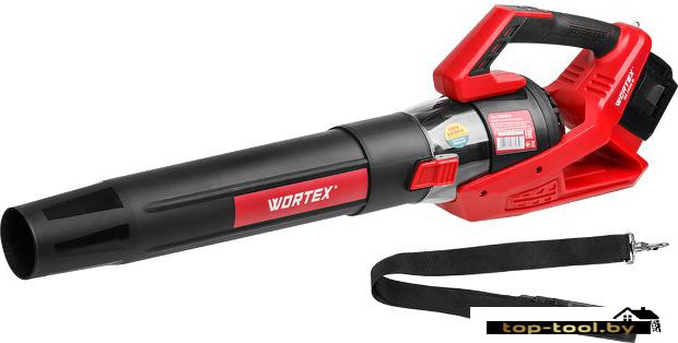 Ручная воздуходувка Wortex BB 2536 D ALL1 0333234